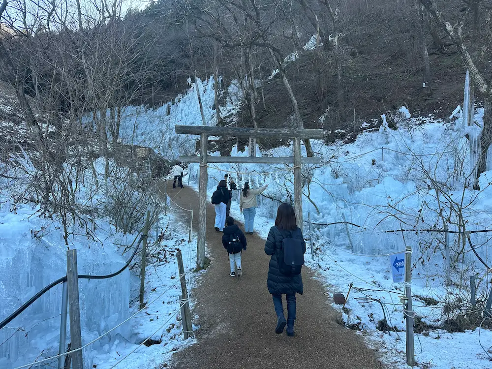 あしがくぼの氷柱のライトアップと氷の壁の前に立つ鳥居